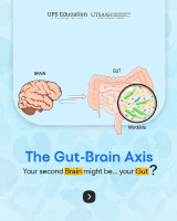 Gut-Brain Axis.pdf